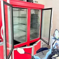 یخچال و دستگاه خردکن مرغ