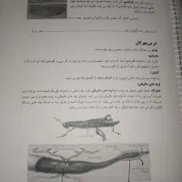 جزوه جامع زیست و ریاضی1404