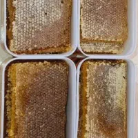 عسل موم دار اردبیل