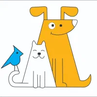 همکار خانوم جهت شیفت شب پانسیون حیوانات