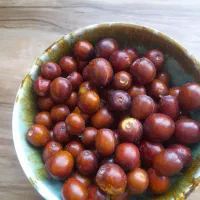 عکس رو ببین