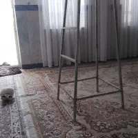 چهار پایه