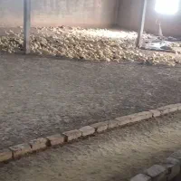 اردک