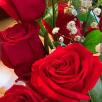 آموزش رقص بانوان