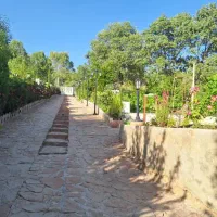 ویلا-باغ-در-روستای-توریستی-کریک-کل-کل-عباس-آباد