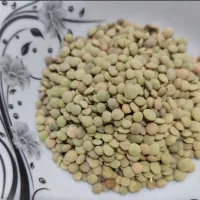 عدس محلی