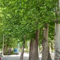 زمین بافت شهری رامجین گلستان ها مجوز دار