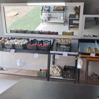 دکور میوه فروشی کامل به همراه ترازو چاپگر