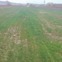 ۴۰۰۰ متر زمین کشاورزی معاوضه با ماشین و خانه