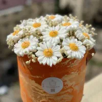 لوازم سنگ مصنوعی تعویض با زرشک زعفران