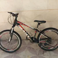 دوچرخه 24 حرفه ای جاینت اصلی نصف قیمت