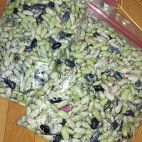 پاچ باقلا پاک کرده