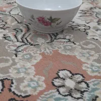 ظروف چینی