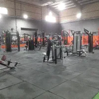 باشگاه بدنسازی vip حتما مطالعه کنید