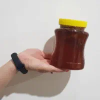 عسل لرستان
