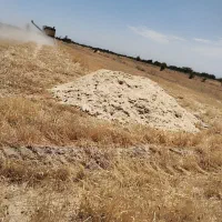 فروش کاه جو