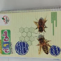 کتاب خیلی سبز (تیزهوشان) پایه نهم