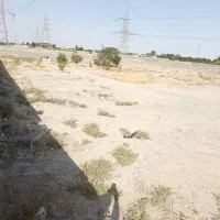 ۵۰۰۰ زمین با کاربری کشاوری