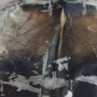 چرم کامل گاو