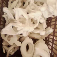 بیس خام|ظروف سرو و پذیرایی|بیرجند, |دیوار