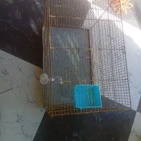 قفس بزرگ پرنده