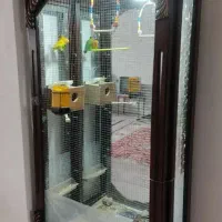 قفس طوطی و قناری