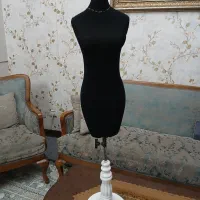 مانکن سوزن خور یک دوم