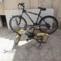 فروش دو عدد دوچرخه