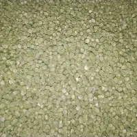نخود فرنگی بذر ولف