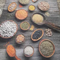 پرده نو  قالیچه و فرش اشپزخونه