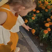 نیازمند مدل خانم