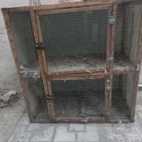 قفس جفتگاه