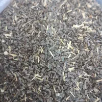 اسپند