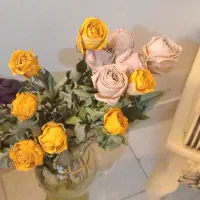 هفده عدد گل رز خشگ شده