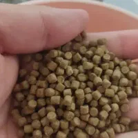 اکسترود آبزیان رشد گرمابی کپور