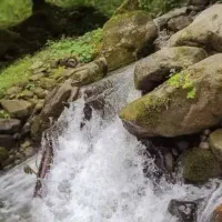 تور گردشگری مجانی  به شمال کشور