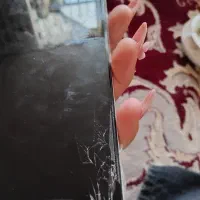 گوشی a 12|موبایل|مشهد, چهاربرج|دیوار