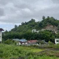 ۲۴۰‌‌ متر زمین سند ۶ دانگ در اهنگرکلا