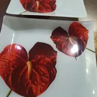 انواع ظروف پذیرایی فرانسه ،کاملا نو وسالم