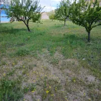 فروش زمین باغی در روستای ایشلق