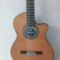 خریدار و فروشنده انواع گیتار حتی شکسته