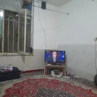 هم خونه