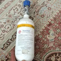کاپسول اسکیجان یک عدد سالم