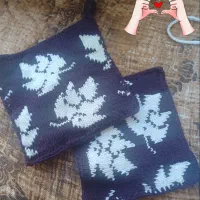 لیف ودستگیره