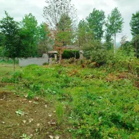 فروش زمین مسکونی ماسال سیدمحله