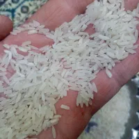 برنچ فجر