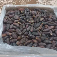 خرمای ربی درجه یک