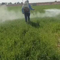سمپاشی مزارع کشاورزی و باغات میوه ومنازل