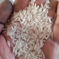 برنج فجر