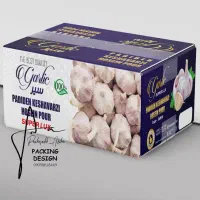 سیر عمده